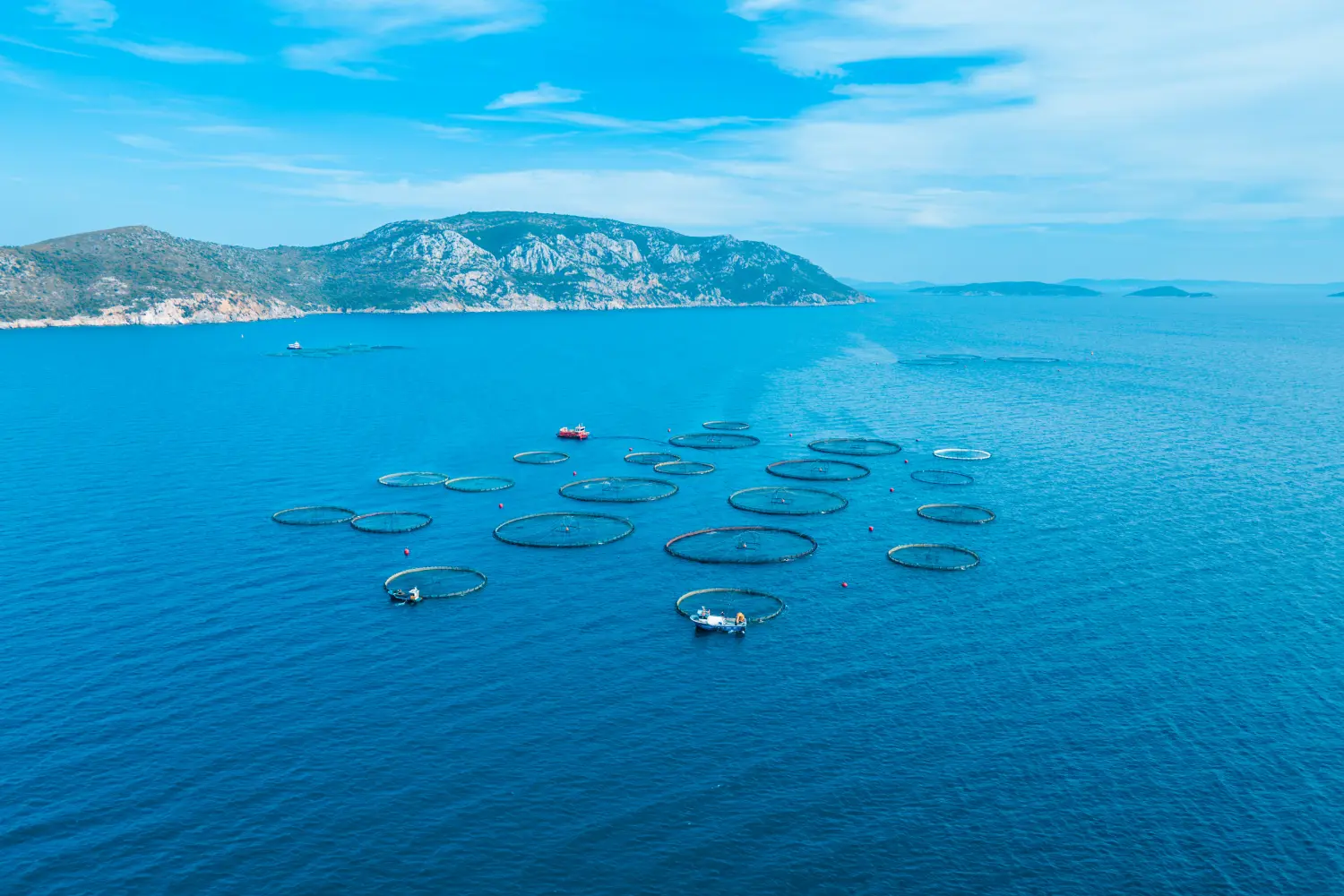 OFFSHORE FISHFARM from PrimAir Turbo GmbH